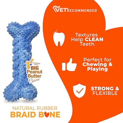 Nylabone Strong Chew Braid Bone Dog Chew Toy, Medium - size: Medium