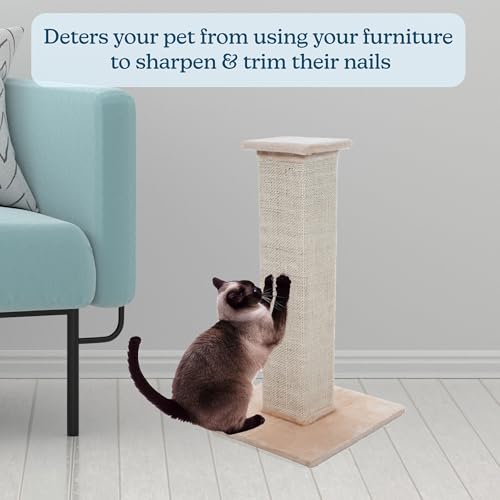 Cat Scratching Post with Carpeted Base - 27.75-Inch Sisal Burlap Fabric Scratcher - Furniture Scratching Deterrent for Indoor Cats by PETMAKER (Beige) - color: Beige