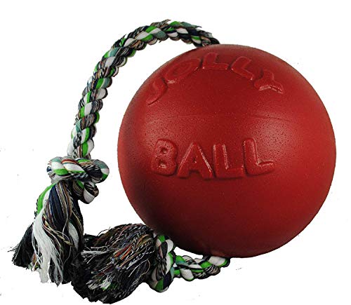 Jolly Pets Romp-N-Roll Rope & Ball Dog Toy, 6 in Medium, Red - color: Red, size: Medium (6 in)