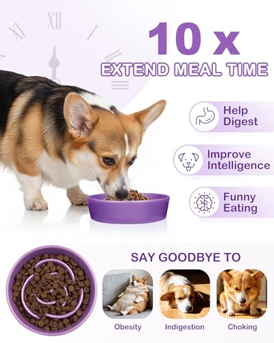 TRUVIC Ceramic Slow Feeder Dog Bowls, 1.5 Cup Puzzle Slow Feeder Bowls for Fast Eaters, Ceramic Dog Food Dish no Black Chin, Puzzle Bowl for Medium Dogs, Purple - color: 03-Purple, size: M-1.5 Cups