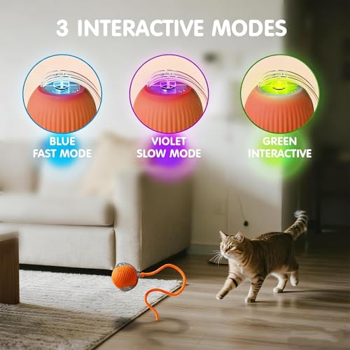 Rocfish Durable Interactive Cat Toys for Indoor Cats (Orange, 01) - color: Orange01, size: 01