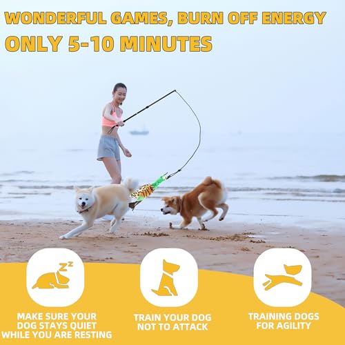 Flirt Pole Dogs, Dog Chase Toy with Squeakers Inside, Dog Fishing Pole Toy for Large Medium Small Dogs to Keep the Puppy Entertained and Physically Exhausted, Ball+Duck - style: Ball+Duck