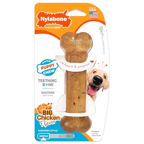 Nylabone Puppy Chew Teething Bone Dog Chew Toy, Chicken Flavor, Medium - color: Teething Bone, size: Medium