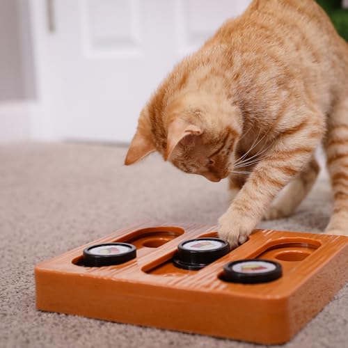 Quirky Kitty Sushi Hunter Bento Box Puzzle, Interactive Treat Toy
