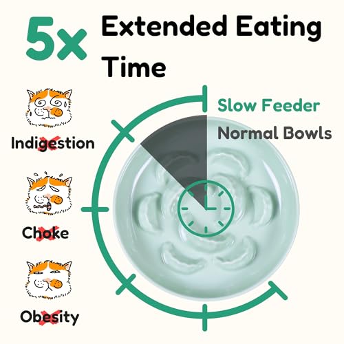 Slow Feeder Cat Bowl with Stand - Unbreakable Elevated Slow Feeder Bowl for Cats - Melamine Puzzle Raised Cat Food Bowl - Whisker Friendly & Wet & Dry Food- Dishwasher Safe & Non Slip (Green - color: Green