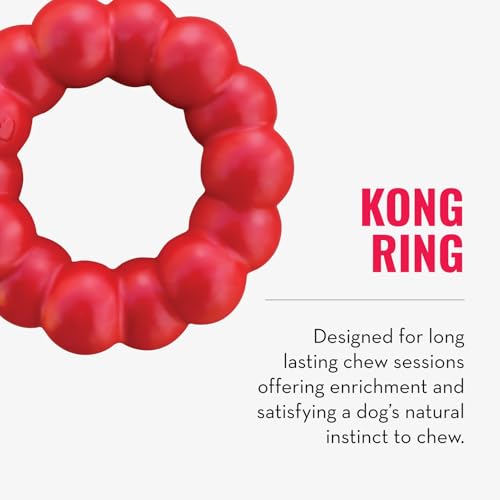 KONG Ring and Goodie Ribbon, Durable Rubber Dog Toys, for Medium Dogs - size: Medium