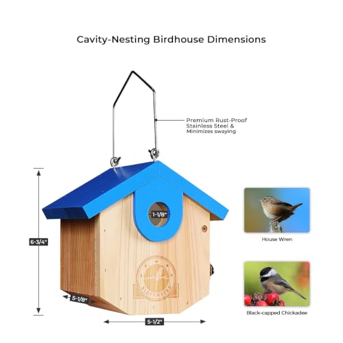 SISTERBIRD Wren Bird Houses for Outside, Bird House Warming Gifts, Blue - color: Blue