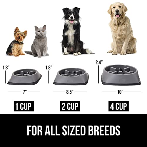 GORILLA GRIP® Patented Slow Feeder Dog and Cat Bowl, BPA Free, 4 Cup Gray - color: Gray, size: 4 Cup