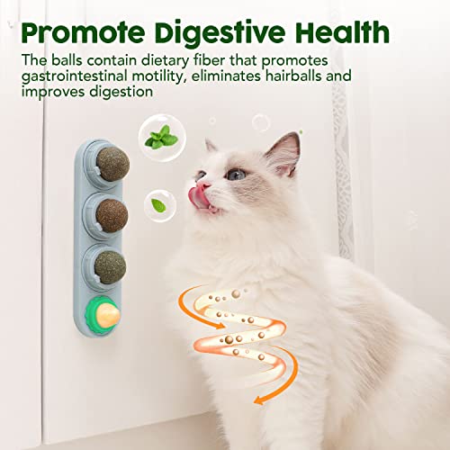 Potaroma 4 Catnip Silvervine Ball Toys, Extra Cat Energy Ball