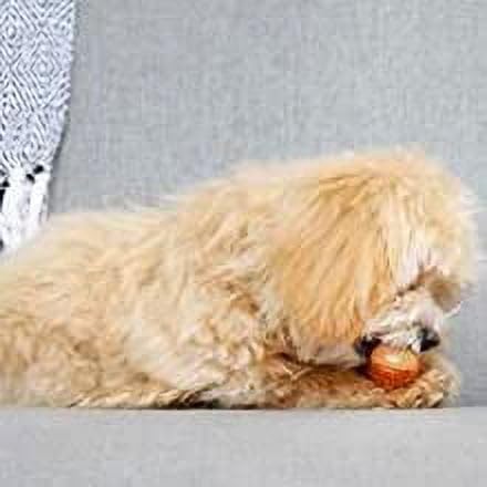 (2 Pack) Drumstick Dog Chew Toy, Chicken Flavored, Nylon, Extra Small, Dental Benefits, Easy to Grip Shape
