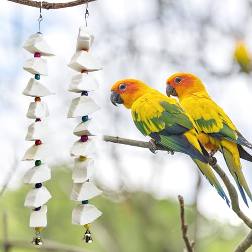 BNOSDM Bird Toys with Cuttlebone 4 Pcs Parakeet Beak Grinding Stone Natural
