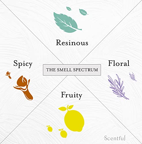 Smell Training Kit, Smell Retraining Therapy, Restore Sense of Smell and Taste, Made in the USA with 4 Organic Essential Oils