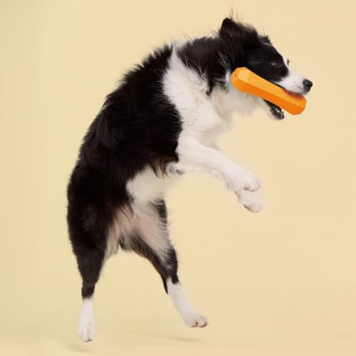 Playology Squeaky Chew Stick - Scented Dog Toy - Jumbo, Cheddar Scent - size: Jumbo, style: Cheddar Cheese