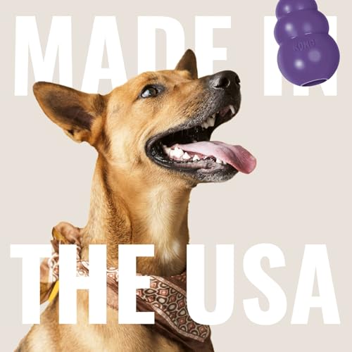 KONG Senior, Gentle Natural Rubber Stuffable Dog Toy, for Small Dogs - size: Small (Pack of 1)