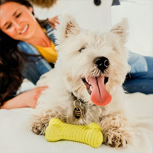 Playology Dual Layer Bone Bone Dog Chew Toy Box - Medium, Variety of Scents - style: Dual Layer Bone Box