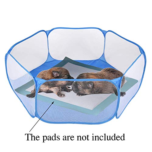 Rypet Guinea Pig Playpen Pop-Up, Outdoor Yard Fence for Small Pets,Blue - color: Blue, style: Open Top Playpen