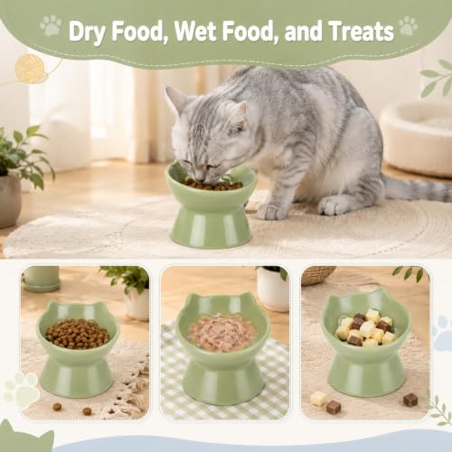 STARVAST 2 Pack Ceramic Slow Feeder Cat Bowl, Elevated