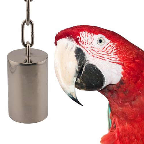 Super Bird Creations SB1243 Stainless Steel Tube Bells - Bird Cage Accessory for Sound Enrichment - Ideal for Parrots, Amazons, Greys, Cockatoos and Macaws (Large) - size: Large