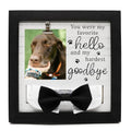 Pet Loss Gift – 9 x 9” Memorial Sympathy Frame with Collar Holder & Card, Remembrance Gift for Loss of Dog or Cat, Rainbow Bridge Keepsake