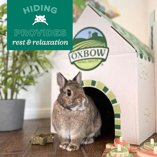 Oxbow Timothy Hay Bungalow, Guinea Pig Hideout & Rabbit House, Large - size: Large (Pack of 1)