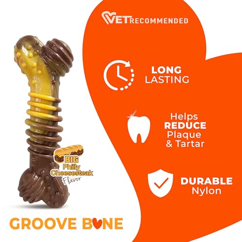 Nylabone Power Chew Dental Groove Bone Dog Chew Toy, X-Large - size: X-Large