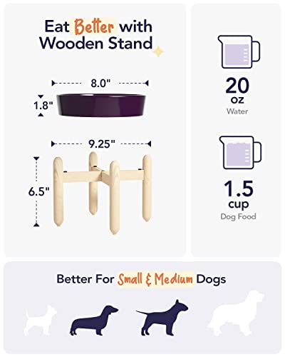 LE TAUCI Ceramic Slow Feed Dog Bowls, Elevated for Small and Medium Breed Dogs, Anti-Gulping Pet Feeding Dishes, Maze Purple, 1.5 Cups - color: Maze Purple+Stand, size: M-1.5 Cups