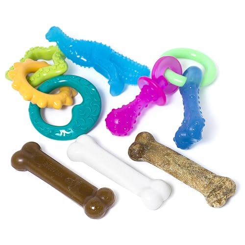 Nylabone Puppy Chew Toy & Treat Bundle, Small, 6 Count - color: Bundle, size: Small