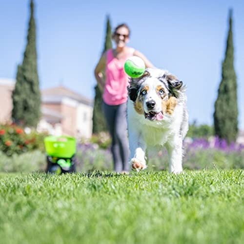 Hyper Pet GoDogGo Automatic Dog Ball Launcher, Includes 5 Balls, 20-60lbs - size: Medium, style: Automatic Machine Dog Ball Launcher