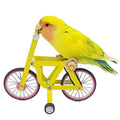 QBLEEV Bird Intelligence Training Toy - Parrot Puzzle Bicycle for Birds - color: Small Bicycle Toy