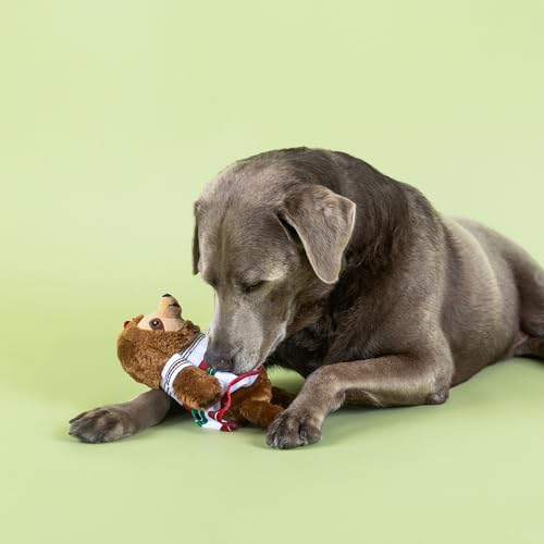 Fringe Studio You HAD ME at HOLA! Plush Dog Toy, Pet Shop Collection (314339) - color: Hola