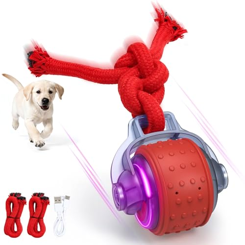 Interactive Dog Toys, Smart Automatic Moving Dog Ball with Rope, Rechargeable Motion Activated Rolling Dog Toy for Small Large Dogs Aggressive chewers to Keep Them Busy