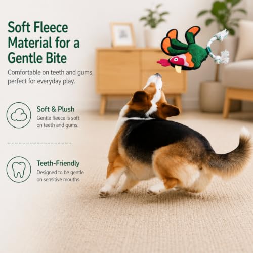 Green Sheep Squeaky Plush Dog Toy, Interactive Rope Toy with Recycled Materials for Tug, Fetch and Play, Medium to Large Dogs, Chew Toy, Cock - color: Rooster