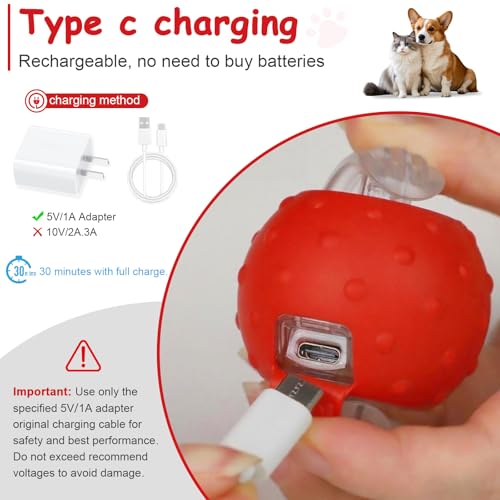 Interactive Cat Toys Smart Ball for Cats & Dogs! Now with 2 Rapid Tails. Features: 360°Auto-Rolling, Motion Activation& Bird Sounds. Perfect for Indoor Pet Exercise & Fun. (Red＆Blue) - color: Red＆Blue1