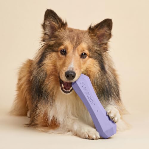 Playology Squeaky Chew Stick - Scented Dog Toy - Medium, Lamb Scent - size: Medium, style: Lamb