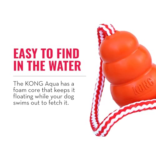KONG Aqua Floating Fetch Toy, Natural Rubber, Orange, for Medium Dogs - size: Medium (Pack of 1)