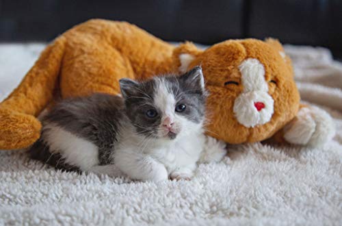 Plush Heartbeat Toy - Calming Anxiety Relief Toys for Puppies and Kittens - Heartbeat in a Soft Comforting Pet Plush for Dogs and Cats (Orange Kitty) - color: Orange Kitty