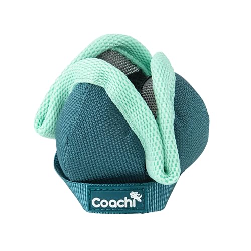 Coachi Puppy & Mini Chase & Treat - Great for Play and Chase - style: Chase & Treat