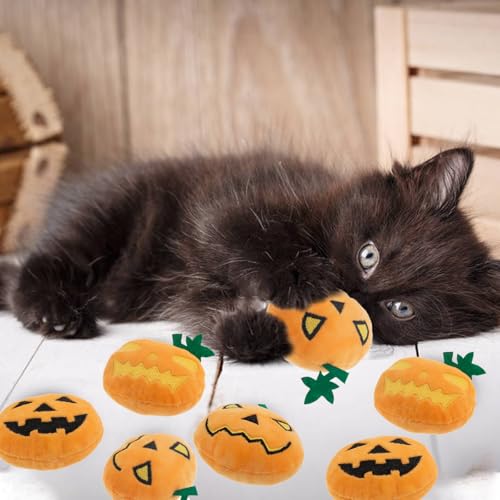 6pcs Halloween Pumpkin Catnip Toy，Hallowen Indoor Pumpkin Shaped Cat Toy Plush Interactive Chew Bite Toys for Cat Kitten Indoor Festive Holiday Cat Lover Gift - color: Pumpkin