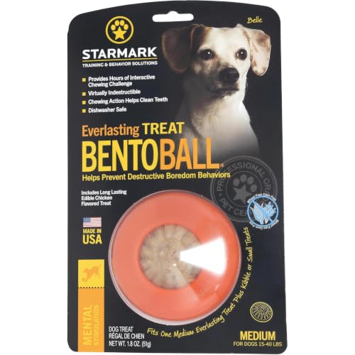 Starmark Everlasting Treat Bento Ball Chew Toy Medium for Dogs under 40 lbs - size: Medium