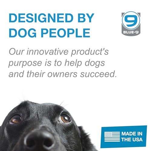 Blue-9 Propel Dog Training Platform, Balance, Stability, Turquoise, 2-Pack - color: Turquoise