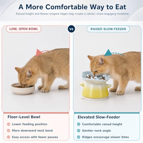 Slow Feeder Cat Bowl with Anti Slip Padfor Dry and Wet Food