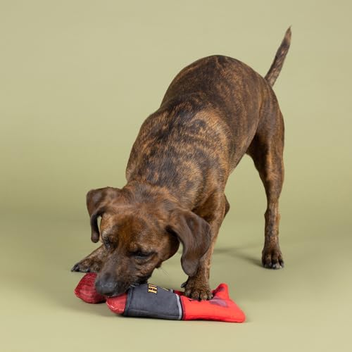 Fringe Studio Plush Dog Toy, Snack Attack, Hide & Seek Interactive Pet Toy, Pet Shop Collection (289228) - color: Snack Attack
