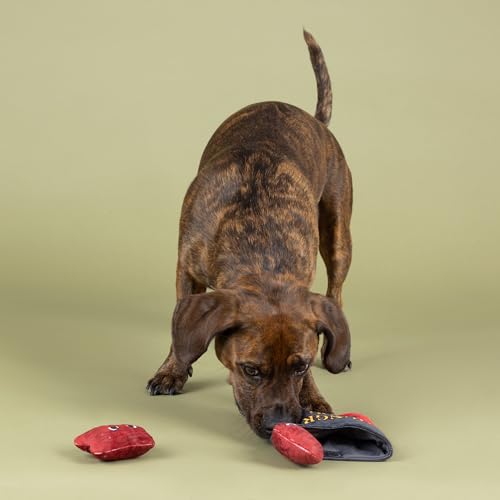 Fringe Studio Plush Dog Toy, Snack Attack, Hide & Seek Interactive Pet Toy, Pet Shop Collection (289228) - color: Snack Attack