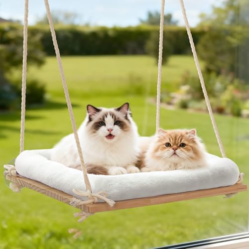Large Cat Window Perch Hammock, Solid Wood Seat & Plush Cushion - size: Suction Cup Mount - Large