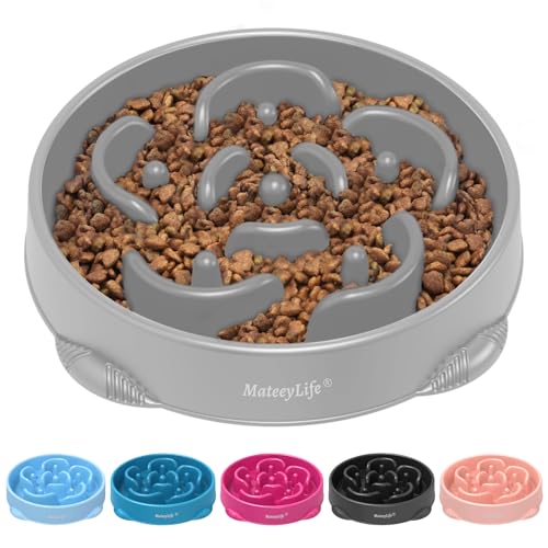 MateeyLife 1-Pack Slow Feeder Dog Bowls, 4 Cups, Dog Puzzle Feeder Bowl - color: I-Gray, size: Large