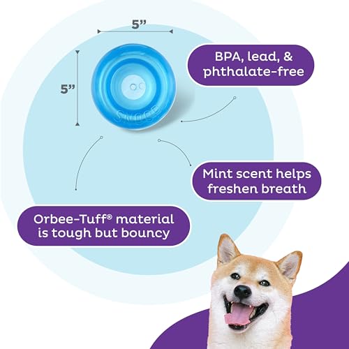 Outward Hound Snoop Interactive Treat Dispensing Dog Toy, Blue, 5" - color: Blue