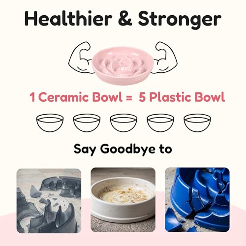 Ceramic Slow Feeder Cat Bowl, 6.2" Wide Shallow Whisker-Friendly Cat Plate for Wet & Dry Food, Cute Dumpling Maze Helps Slow Eating, Heavy Bowl with Non-Slip Pads, Microwave & Dishwasher Safe, Pink - color: Pink