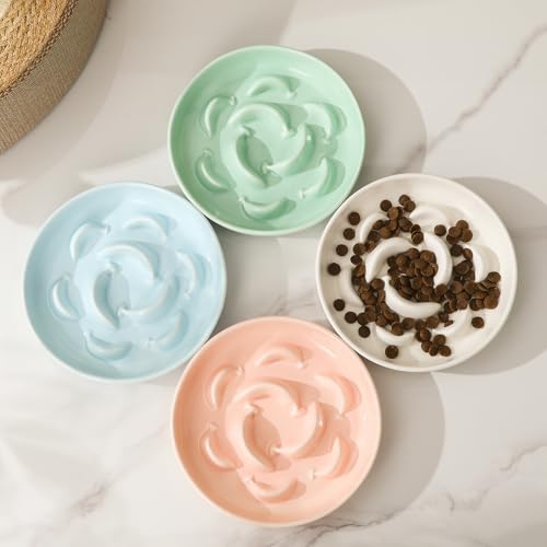2 Pack Ceramic Cat Slow Feeder Bowl Set, 6.3" Wide, Slow Eating 5X - color: White and Green