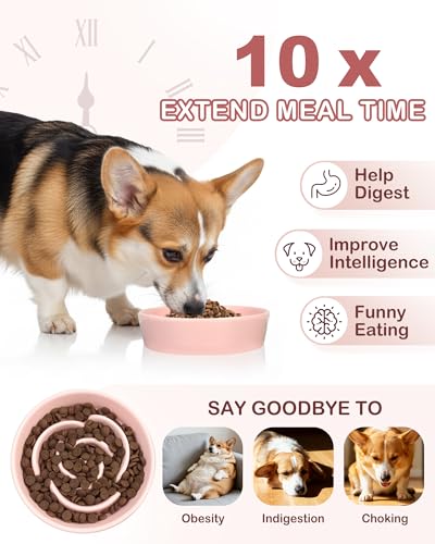 TRUVIC Ceramic Slow Feeder Dog Bowls, 1.5 Cup Puzzle Slow Feeder Bowls for Fast Eaters, Ceramic Dog Food Dish no Black Chin, Puzzle Bowl for Medium Dogs, Pink - color: 02-Pink, size: M-1.5 Cups