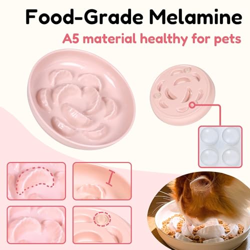 2 Pcs Cat Slow Feeder Bowl for Dry & Wet Food - Unbreakable Melamine Cat Food Plates for Slow Eating - Cute Kitten Bowl - Whisker Friendly & Dishwasher Safe & Non Slip Design (Blue + Pink) - color: Blue + Pink